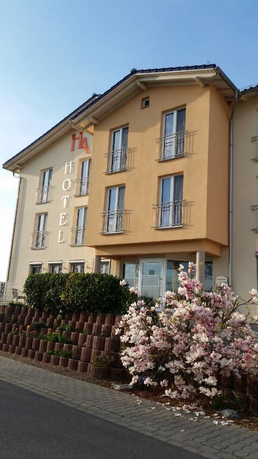 Riedstadt Hotel Ackermann מראה חיצוני תמונה