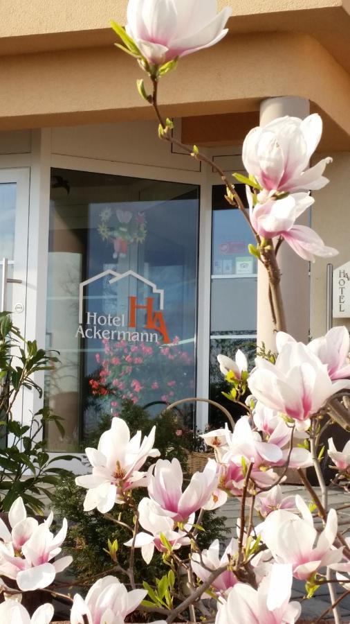 Riedstadt Hotel Ackermann מראה חיצוני תמונה