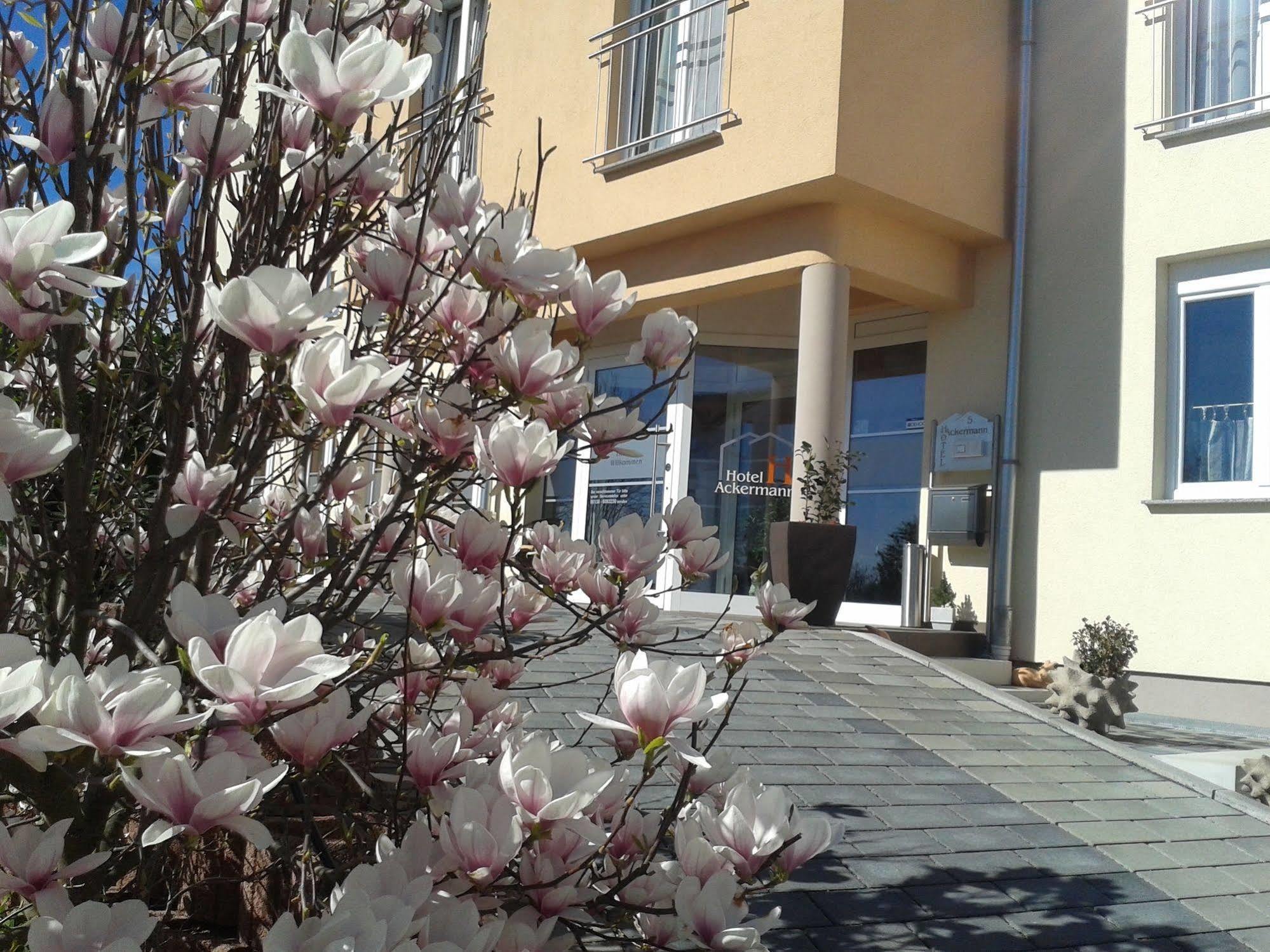 Riedstadt Hotel Ackermann מראה חיצוני תמונה
